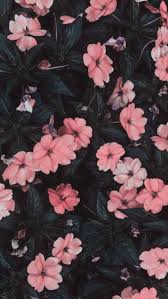 Download and share awesome cool background hd mobile phone wallpapers. Flowers Wallpaper And Pink Image Iphone Lock Screen Wallpaper Flower 710x1260 Wallpaper Teahub Io