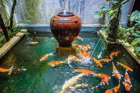 If you're a pond owner this water becomes muddy for reasons either biological, chemical and even because of wildlife. 6 Amazing Indoor Water Feature Ideas
