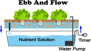 Diy hydroponic gardening systems can grow plants faster than dirt farming. 5 Best Ebb And Flow Hydroponics System Reviews On 2021