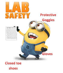 There are sources like fires that might result in a laboratory safety poster needs to have images showing appropriate lab safety, such as goggles and a lab coat for safety equipment or an image of. Safety Poster Videos For A Lab Mrs Cole On Twitter Lab Safety Movie Posters Thx Of Course Safety Rules Are Only Effective When They Are Enforced