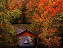 Image result for hudson river valley leaf peeping pictures