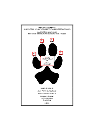 Professeure de droit public à l'université de montpellier, directrice de l'institut de droit européen des droits de l'homme. Pdf La Fabrique Du Divertissement Animalier Cirque Et Combats Entre Denaturation Pour Le Rire Et Effusion De Sang Pour Le Plaisir Revue Semestrielle De Droit Animalier 2016 2 P 209 224 Xavier Perrot Academia Edu