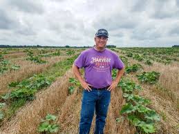 This is the distance at which you want to plant them. Tips For Successfully No Tilling Pumpkins No Till Farmer