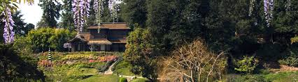 Maybe you would like to learn more about one of these? Japanese Garden The Huntington