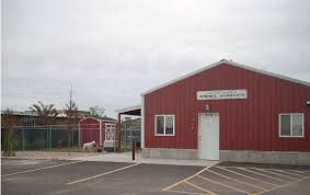 Finalize the adoption process either at a petsmart near you or at your local shelter. Welcome To South Ogden City