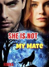 Similar to tim powers