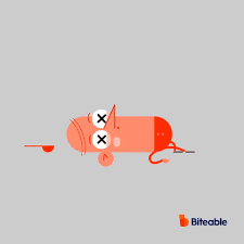 The best gifs are on giphy. Gif Makers How To Make A Gif From A Video Online Biteable