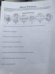 The animal cell cycle worksheet. The Diagram Below Shows Six Cells In Various Phases Chegg Com