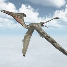 Full list of creatures and dinosaurs in ark: Pterodactyl Facts Facts Just For Kids