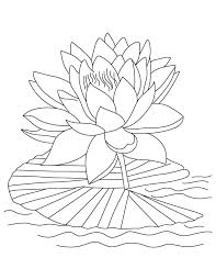 By best coloring pagesjanuary 4th 2016. Printable Lotus Coloring Pages Lotus Flower Colors Flower Drawing Printable Flower Coloring Pages