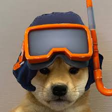 Here are only the best doge space wallpapers. á´…á´É¢ ÉªÉ´sÉªá´…á´‡ á´›Êœá´‡ É¢á´€É´É¢ On Instagram Dogwifhatgang Dogwifhat In 2020 Savage Wallpapers Hypebeast Wallpaper Shiba Inu
