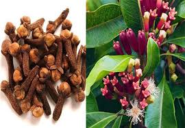 Ke dikh gaya pyar yeh patialvi. Laung English Name