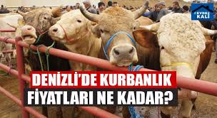 Denizli De Kurbanlik Fiyatlari Ne Kadar 23 Temmuz 2020 Persembe