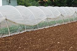 Caterpillar tunnel: An inexpensive variation