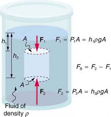 Use a balance and beaker. Archimedes Principle Physics
