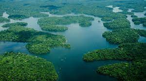 Calle 10 de obrajes, edif. Amazonas Kronjuwel Der Weltnatur Wwf Schweiz