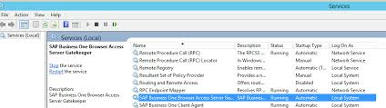 Https Help Sap Com Doc 37bc0ffc0cdf48d08923360b4b43881b 10 0 En Us How To Deploy Sap Business One With Browser Access Pdf