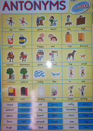 Sucezz Educational Wall Chart Poster Antonyms