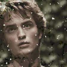 Renatus by @somanybeanbags