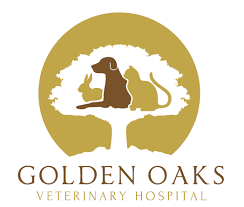 Rancho park veterinary clinic los angeles, ca 90064. Rancho Regional Veterinary Hospital 263 Recommendations Rancho Cucamonga Ca