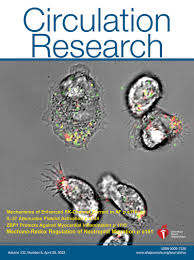 Clinical Potential of Adrenomedullin Signaling in the Cardiovascular System  | Circulation Research