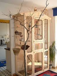 Bird On The Run Pittsburgh Cockatiel Inner Aviary In 2020 Diy Bird Cage Pet Bird Cage Bird Cage Decor