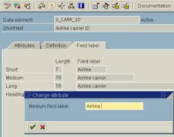 Check out the pronunciation, synonyms and grammar. Modifying Data Element Attributes