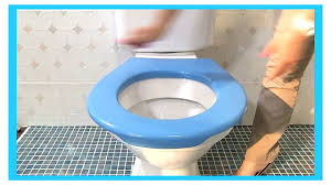 Papado est la petite révolution pour le confort et l'entretien de vos toilettes ! Ø±Ø§ÙƒØ¨ Meyella ÙŠØ¹ØªØ¨Ø± Lunette Toilette Clipsable Shivayssc Com