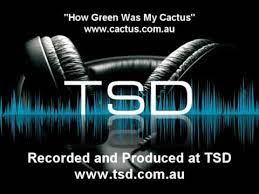 Chicken, cactus, sweet potatoes and ketchup. How Green Was My Cactus Summer Of Cricket Youtube