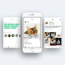 ✓ free for commercial use ✓ high quality images. Entry 8 By Jeniroxy For Design A Mockup For An App Like Instagram Freelancer