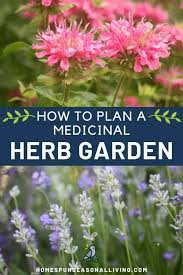 Herb garden lawn and garden garden plants snapdragon flowers flowers perennials july flowers pretty flowers large wooden planters. How To Plant A Medicinal Herb Garden Homespun Seasonal Living