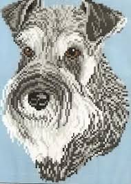 Silhouette schnauzer cross stitch pattern. Brenda Franklin Ds 621 Miniature Schnauzer 77 X 109 Stitches Cross Stitch Petit Point Needlepoint Waste Canvas Cross Stitch Art Cross Stitch Dog Signs