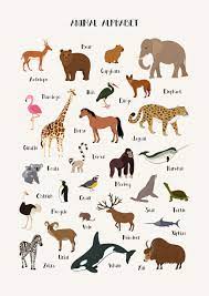 Animal Alphabet Poster Alphabet Poster Animal Pictures For Kids Animal Posters