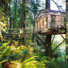 Maybe you would like to learn more about one of these? The World S 10 Coolest Treehouse Hotels Cbs Chicago
