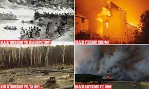 .black saturday another black saturday yeah you think that it's funny i can see you are choking i hope you choke yourself to death mama see what i have done i'm getting ready for another black. How The Current Bushfire Crisis Compares With The Biggest Blazes In Australia S History Daily Mail Online