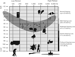 How to read an audiogram asha. Role Of Audiologists In Special Services Emerald Insight