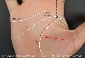 Life Line Timeline Guide In Palmistry Palmistry Palm Reading Palm Reading Charts