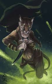 10 Tabaxi Rogue Ideas Dnd Characters Rpg Character Rogues I made a tabasco rogue and it is epic, no. 10 tabaxi rogue ideas dnd characters