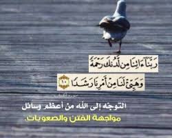 pin by أحمد عبد الكريم on islam quran islamic pictures pictures animals