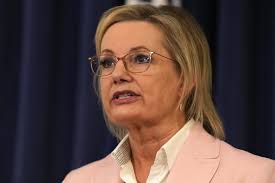 Holly the penguin reunited with colony near Manly, after Sydney drain  rescue