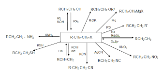 alkyl halides study material for iit jee askiitians