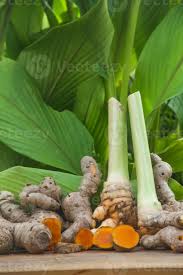 Image result for Turmeric