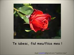 Pentru ca imi iubesc enorm fiica si vreau sa o vad fericita. Ganduri Pentru Copilul Meu 1