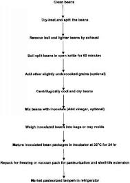 basic changes in the tempeh fermentation process beverage