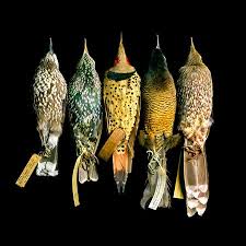 رؤية طير الحسون يطير الى الوراء ثم يدهب الى شجرة ثم يختفي ويضهر مع عصفور اخر من نوع اخر وبشكل صغير حيث تركته ولم امسكه واكتفيت بروؤيته فقط. Ø§Ù„Ø·ÙŠÙˆØ± ÙÙŠ Ø§Ù„Ù…Ù†Ø§Ù… Farizmedia Com