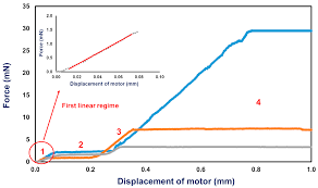 Get all of hollywood.com's best movies lists, news, and more. Ijms Free Full Text Employing Nanostructured Scaffolds To Investigate The Mechanical Properties Of Adult Mammalian Retinae Under Tension Html