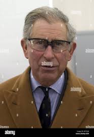 Camera portrait of His Royal Highness the Prince Edward VII of Wales (1894 