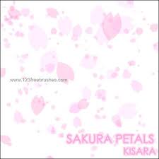 Sakura Petals Https Www 123freebrushes Com Sakura Petals 2 Free Brush Photoshop Brushes Free Petals