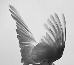 Pin By Lorel Darlington On To Save Character Aesthetic Angel Aesthetic Supernatural Beings