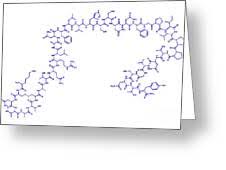 Image result for Pramlintide